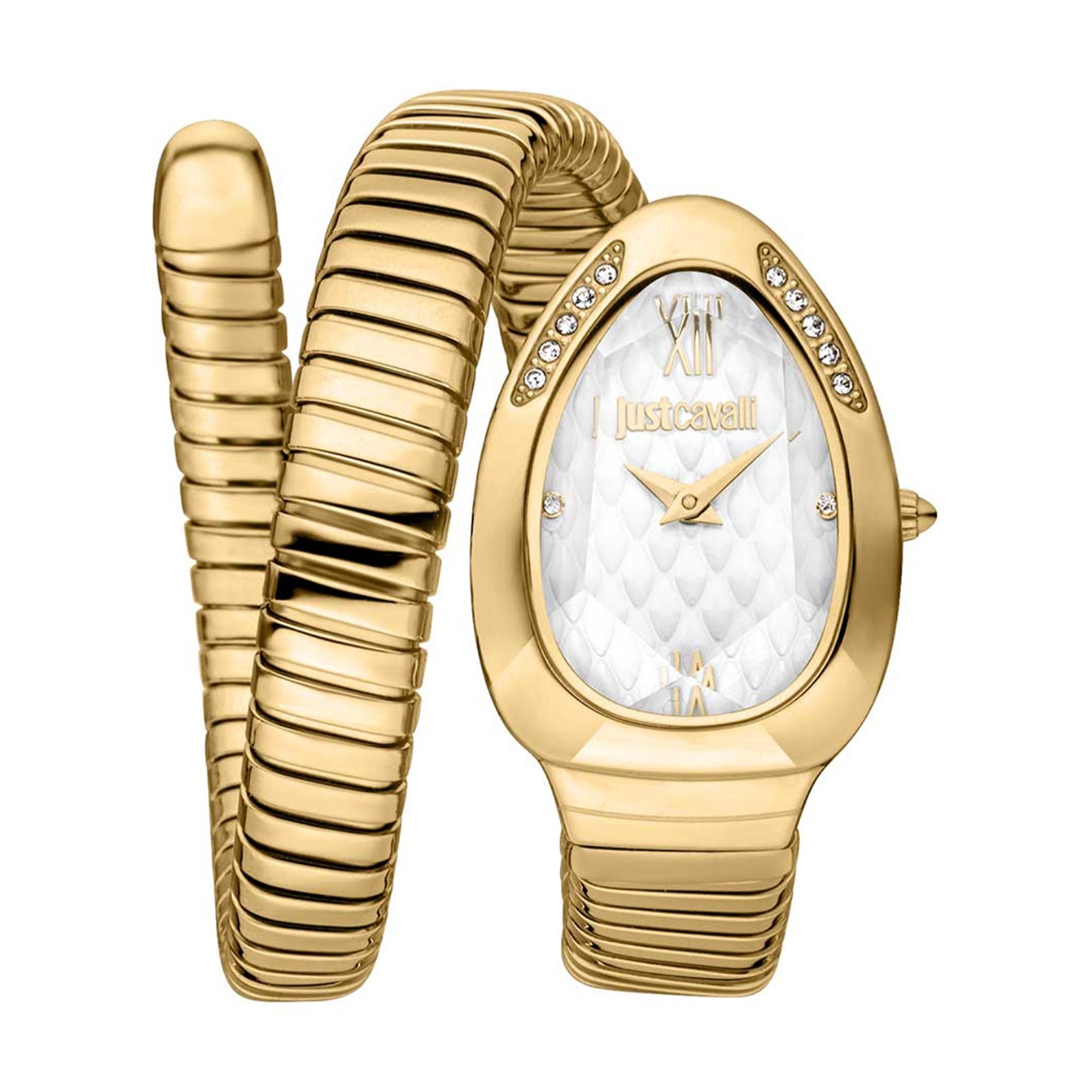 Just Cavalli Quartz Taglio Silver Dial Women's Watch JC1L223M0025