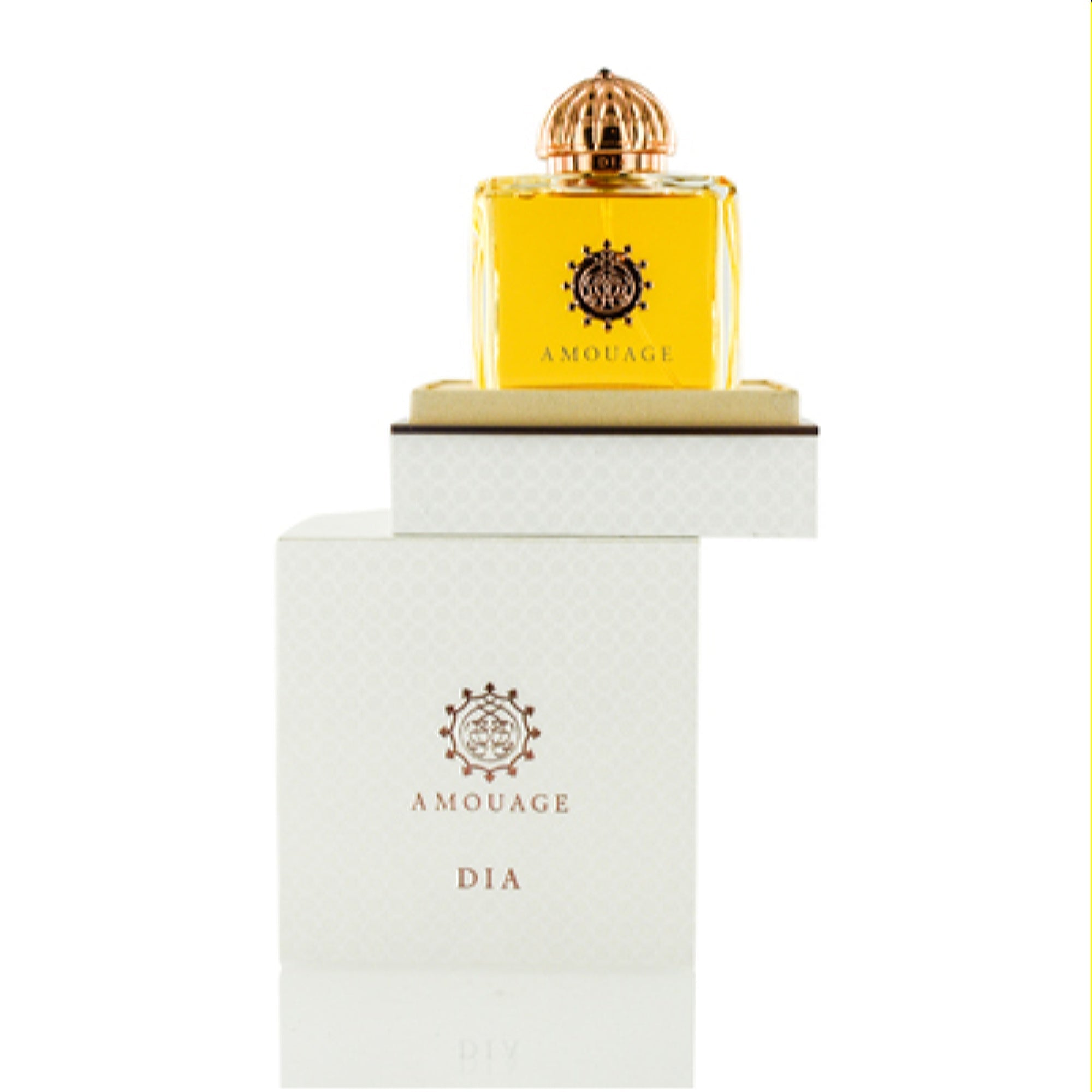 Amouage Women's Dia Amouage Edp Spray 3.3 Oz (100 Ml)   701666300083