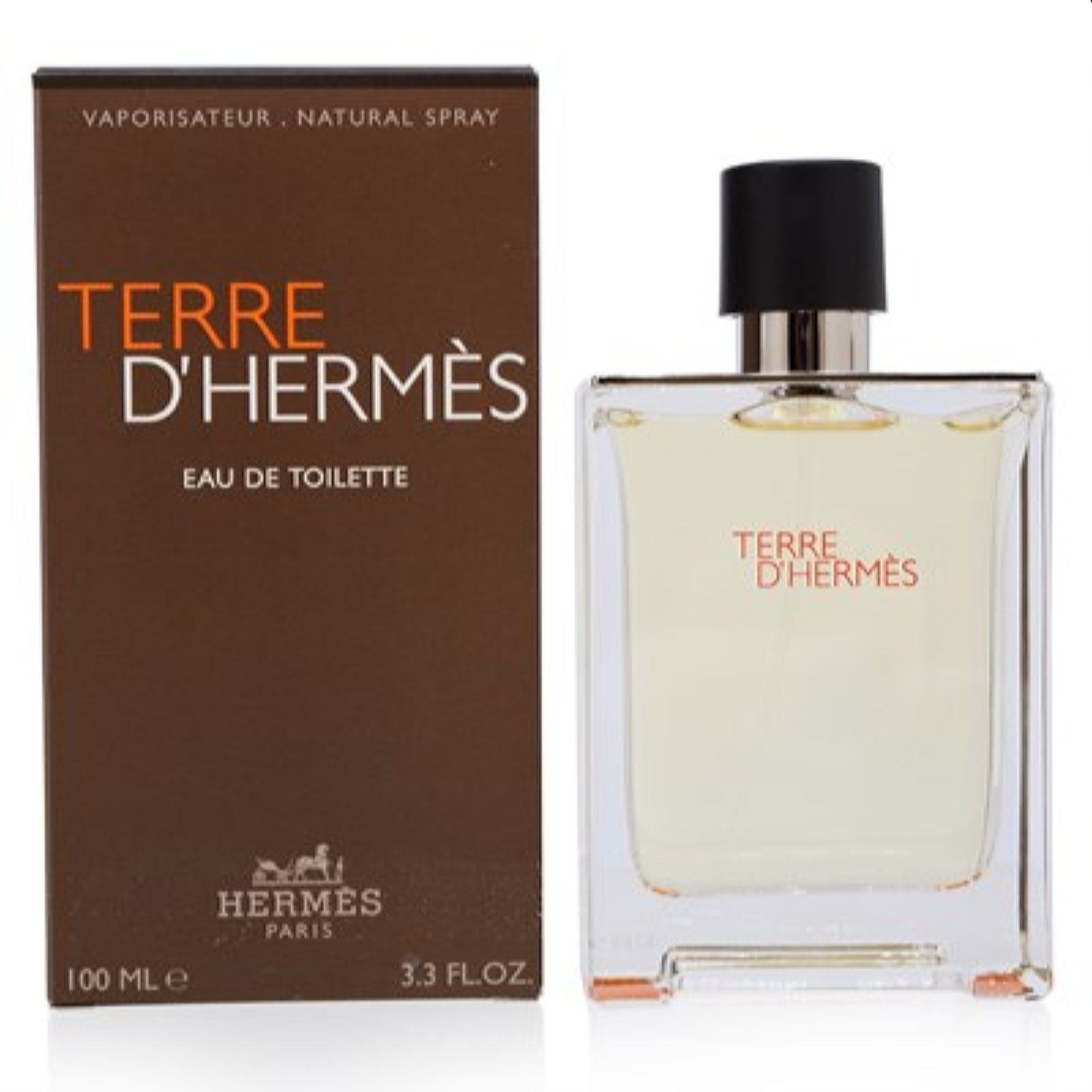 Hermes Men's Terre D'Hermes Hermes Edt Spray 3.3 Oz (100 Ml)  3346130009603