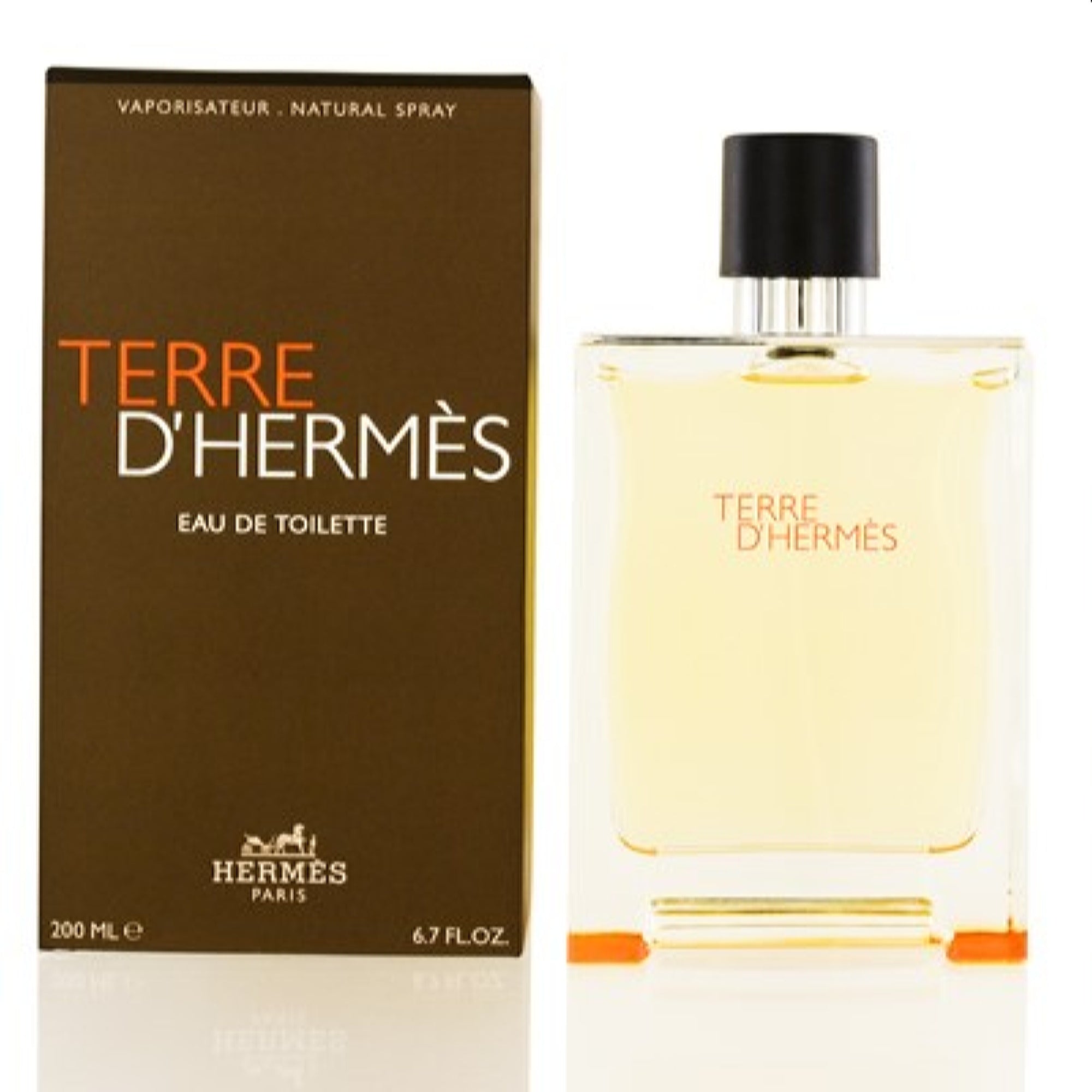 Hermes Men's Terre D'Hermes Hermes Edt Spray 6.7 Oz  3346130013457